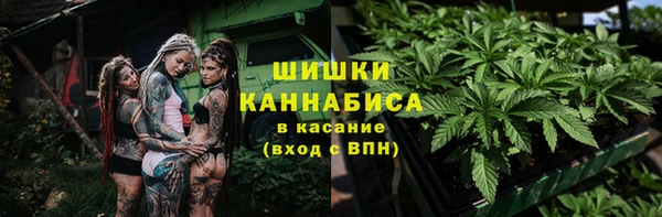 дурь Алзамай