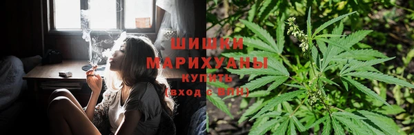 дурь Алзамай